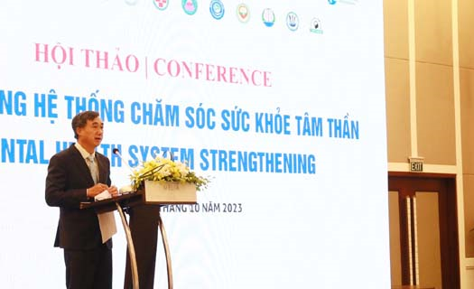 Vai trò của chăm sóc sức khỏe tâm thần